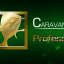 CARAVAN MODE 800,000 points achievement