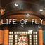 Life of Fly Release Dates, Game Trailers, News, and Updates for Xbox One